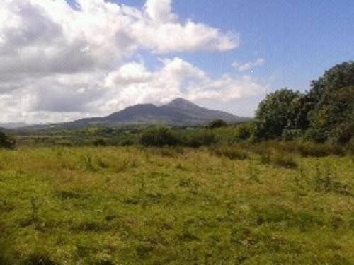 Nephin Lodge Westport Chambre photo